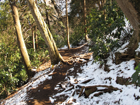 20160226hike (132)
